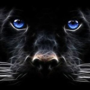 Meet your Posher, Alison